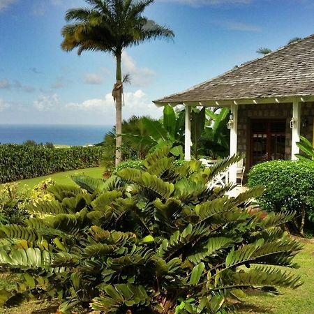 Ottleys Plantation Inn Cayon Екстер'єр фото