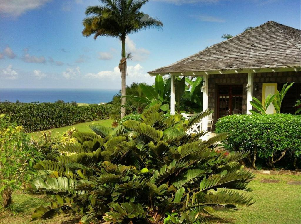 Ottleys Plantation Inn Cayon Екстер'єр фото