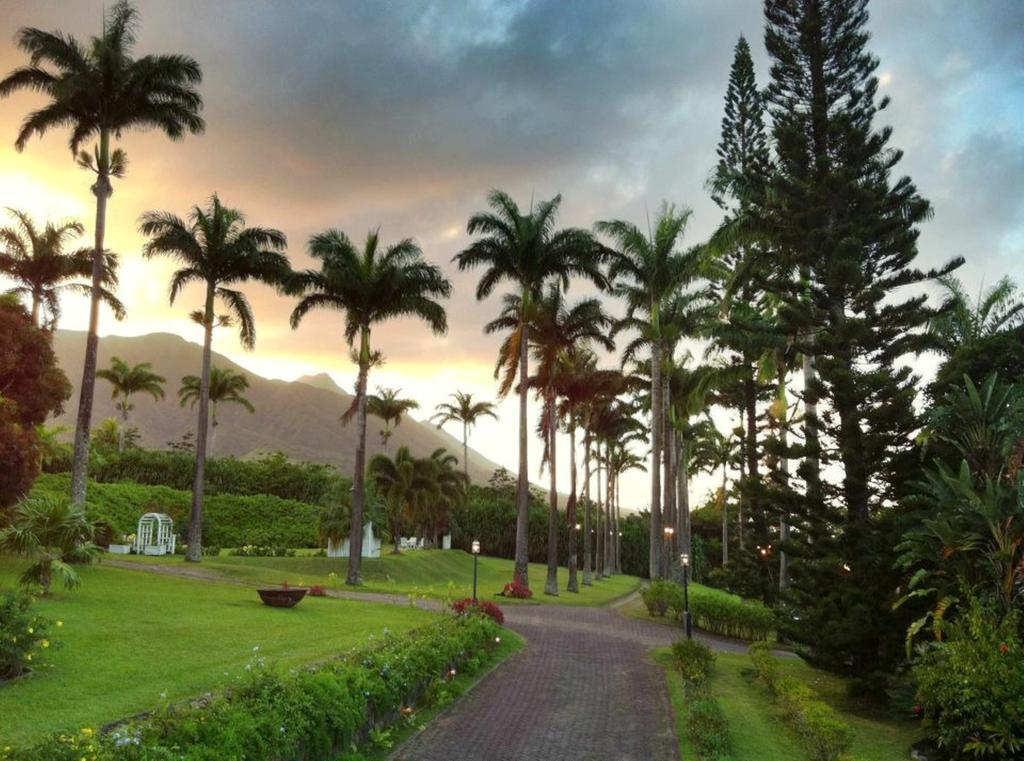 Ottleys Plantation Inn Cayon Екстер'єр фото